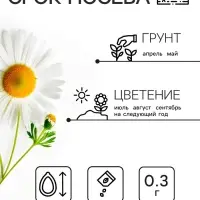 Семена цветов Ромашки "Аляска", 0,3 г