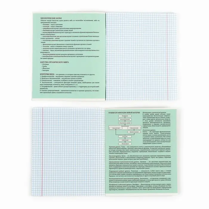 Тетрадь в клетку, предметная, 36 л.,на скрепке, блок №1&laquo;Аниме. Биология&raquo;