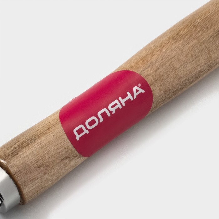 Открывашка Доляна &laquo;Князь&raquo;, 15,3 см