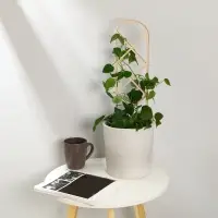 Шпалера, 46 &times; 12 см, дерево, &laquo;Буби&raquo;, Greengo