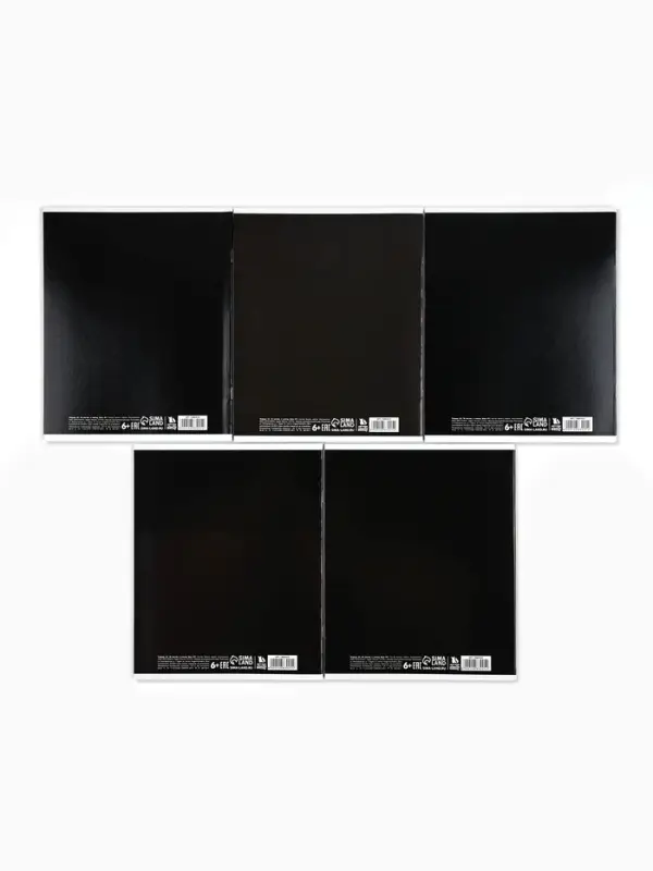 Тетрадь в клетку, 48 л., А5, на скрепке, блок №1 Black or Grey МИКС