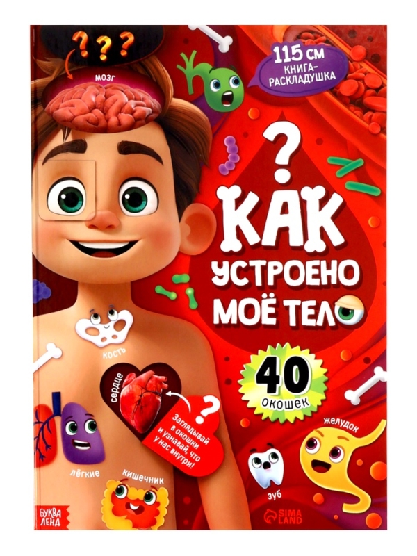 Книга - раскладушка детская &laquo;Как устроено моё тело&raquo;, 40 окошек