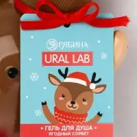 URAL LAB Милые Персы Набор фигурных гелей для душа, 2х300