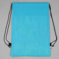 Мешок для обуви &laquo;1 сентября: Dinotime&raquo; нетканное полотно, размер 30 х 40 см