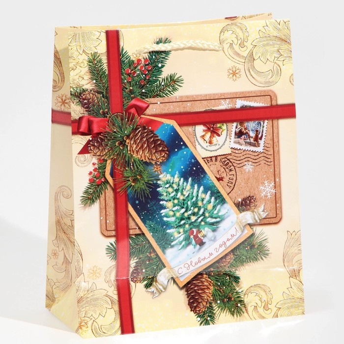 Пакет подарочный новогодний ламинированный &laquo;С Новым годом!&raquo;, MS 18 х 23 х 8 см