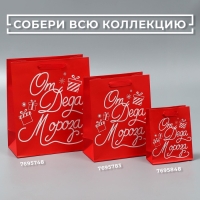 Пакет подарочный новогодний ламинированный &laquo;Новогодний подарочек&raquo;, ML 23 х 27 х 11,5 см, Новый год