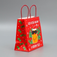 Пакет подарочный новогодний крафтовый &laquo;Что-то на богатом&raquo;, 22 х 22 х 11 см