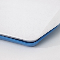 Поднос &laquo;Дональд&raquo;, 30&times;21 см, цвет МИКС