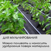 Материал для ландшафтных работ, 10 &times; 0,8 м, плотность 120 г/м&sup2;, спанбонд с УФ-стабилизатором, чёрный, Greengo, Эконом 30%