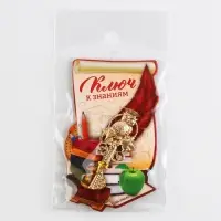 Ключ сувенирный на выпускной &laquo;Ключ к знаниям&raquo;, металл, 2&times;4.8 см