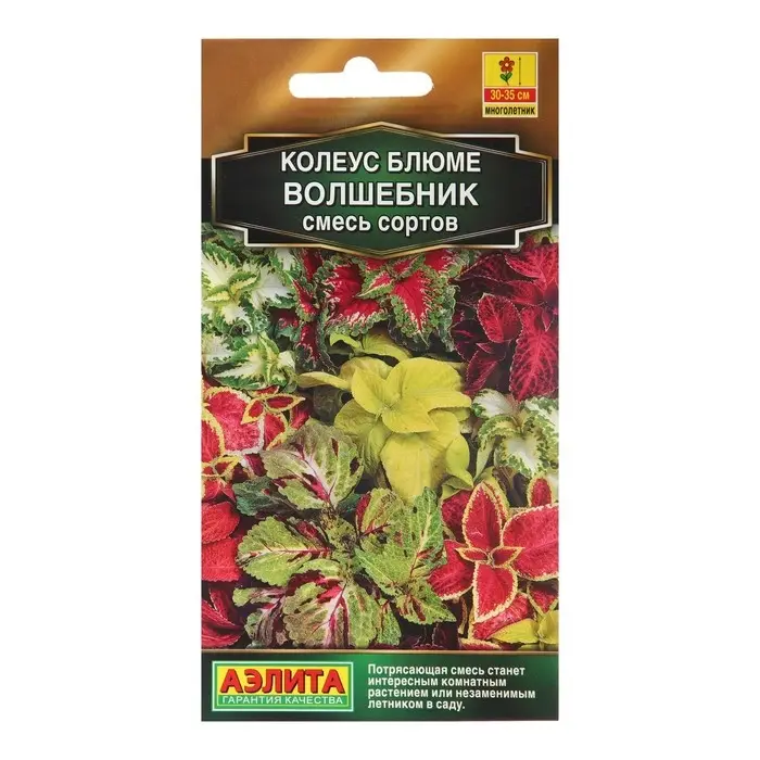 Семена Колеус "Волшебник", смесь сортов 5 шт
