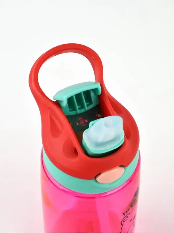 Бутылка для воды пластиковая &laquo;Ты умничка&raquo;, 550 мл