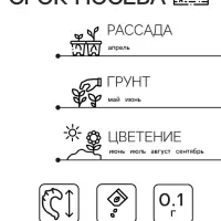 Семена  цветов Бархатцы "Золотой великан", О, 0,1 г