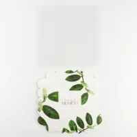 Коробка для печенья, кондитерская упаковка с пластиковой крышкой, &laquo;Эко&raquo;, 18 х 18 х 3 см