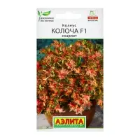 Семена цветов Колеус "Колоча" F1 скарлет, ц/п, 5 шт