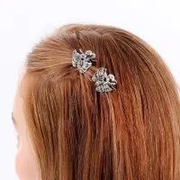 Крабик для волос &laquo;Бабочка&raquo;, 2.5 см, серебро