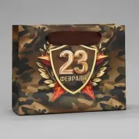 Пакет подарочный ламинированный, упаковка, &laquo;С 23 февраля&raquo;, S 15 х 12 х 5.5 см