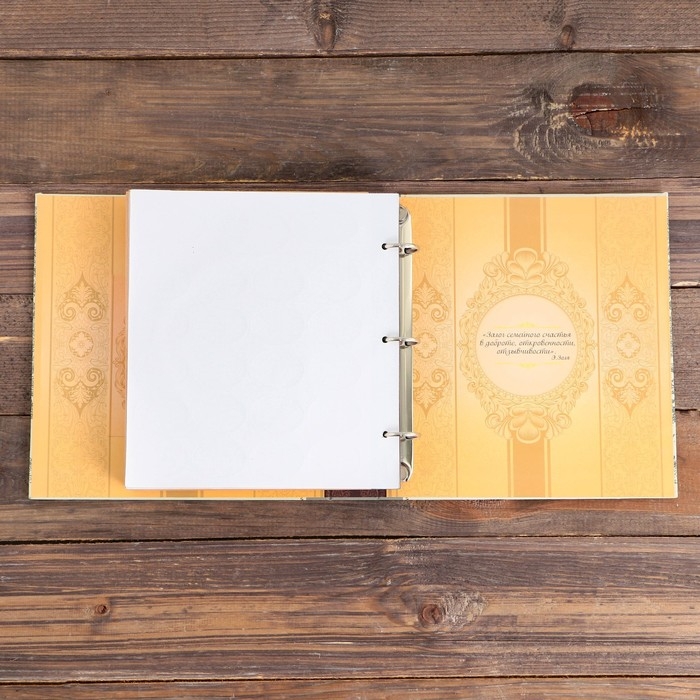 Родословная книга с рамкой под фото &laquo;Семейная&raquo;, 21,5 х 23,7 см.