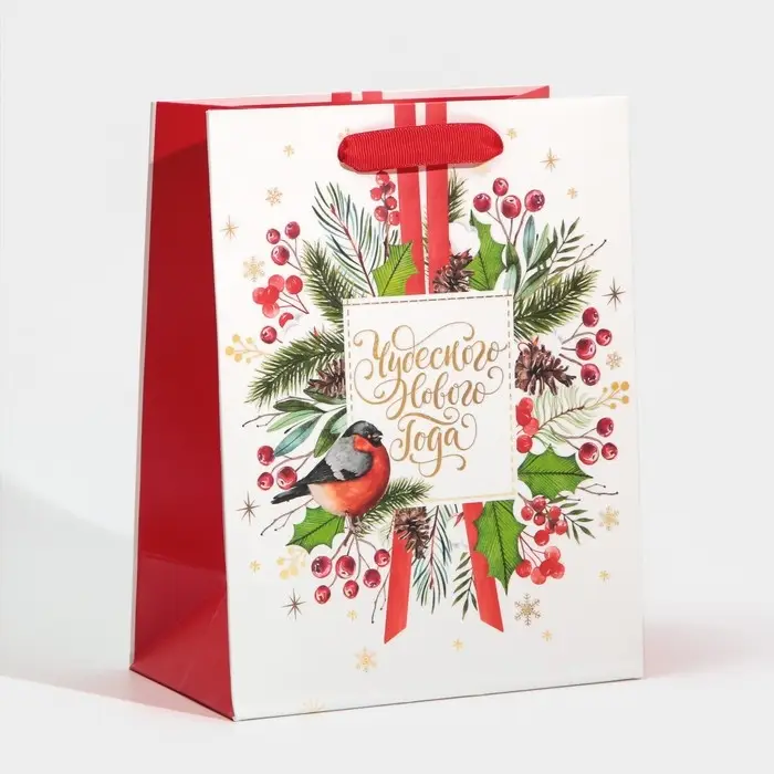 Пакет подарочный новогодний ламинированный &laquo;Чудесного Нового Года&raquo;, MS 18 х 23 х 10 см