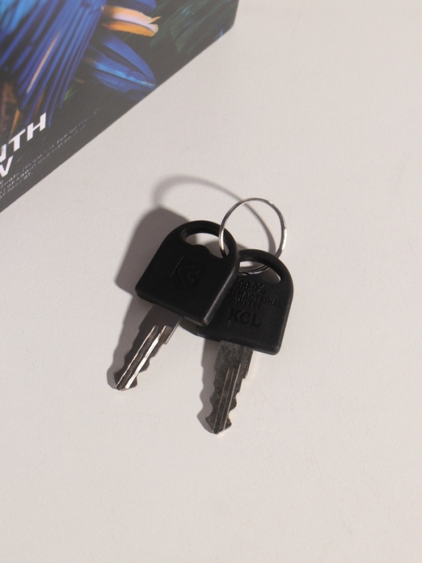 Сейф-книга дерево кожзам "Птицы. Гиацинтовый ара" 21х13х5 см