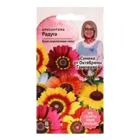 Семена цветов Хризантема "Радуга", 0,5 г