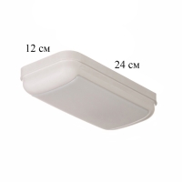 Светильник "Минимал" прямоугольник LED 10Вт 6500К (быстросъемный механизм) белый 5х12х24см   1077725