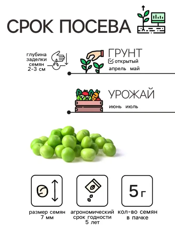 Семена Горох "Амброзия", сахарный, 5 г