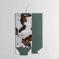 Упаковка кондитерская, &laquo;Gift&raquo;, 9 х 19 х 6 см