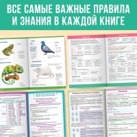 Набор &laquo;Сборники шпаргалок для начальной школы&raquo;, 4 книги, 7+
