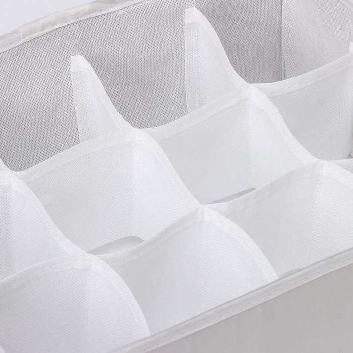 Органайзер для хранения белья LaDо́m, 12 ячеек, 32&times;24&times;12 см, цвет серый