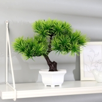 Бонсай в горшке &laquo;Агава прямая&raquo; 27х25 см