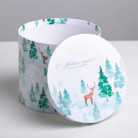 Набор подарочных коробок 5 в 1 &laquo;Европейский&raquo;, 13 х 14‒19.5 х 22 см, Новый год