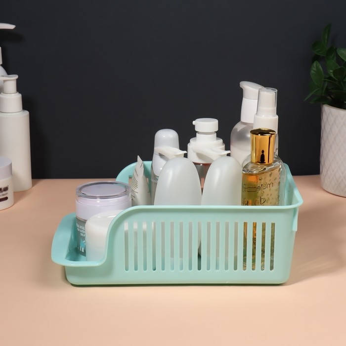 Органайзер для хранения косметических принадлежностей &laquo;Prestige&raquo;, 2 секции, 23 &times; 16,1 см, цвет мятный