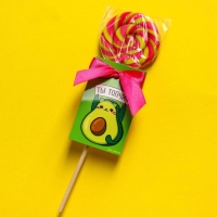 Леденец на палочке &laquo;Ты топчик&raquo;, вкус: грейпфрут, 15 г.