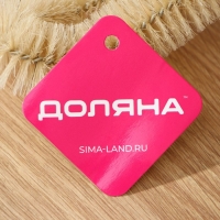 Ёршик для посуды Доляна, 42&times;6 см, цвет МИКС