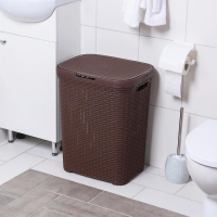 Корзина бельевая с крышкой &laquo;Ротанг&raquo;, 60 л, 34&times;44&times;56 см, цвет микс