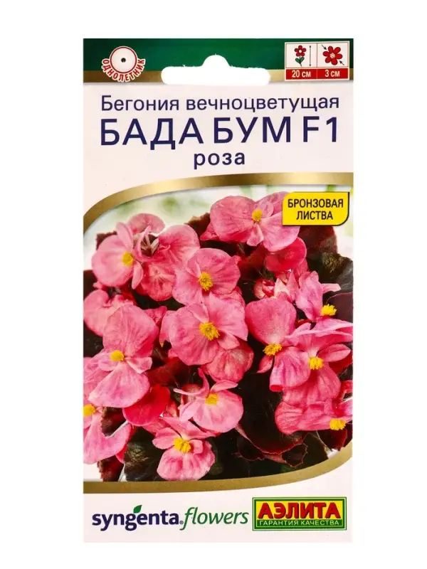 Семена цветов Бегония Бада бум F1 роза  (драже в пробирке) Спецсерия Syngenta, Ц/П,5 шт.