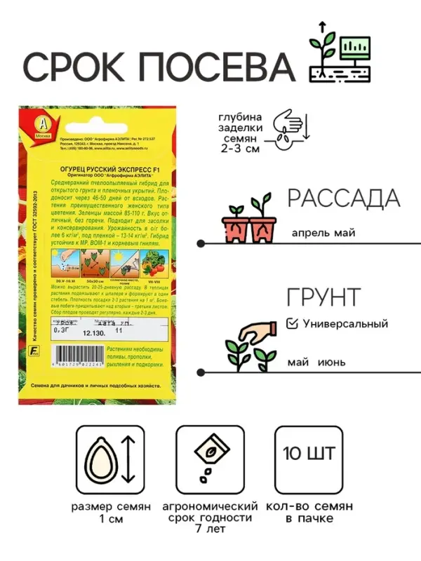 Семена Огурец "Русский экспресс" F1, среднеранний, пчелоопыляемый,  10 шт.