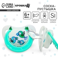 Соска - пустышка ортодонтическая &laquo;Птички&raquo;, +6 мес., цвет зеленый