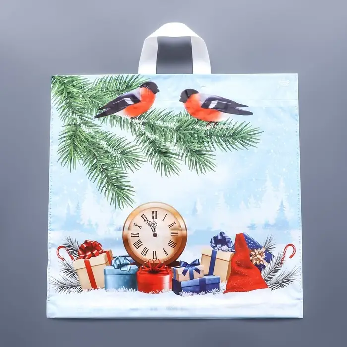 Пакет "Пернатые друзья", полиэтиленовый с петлевой ручкой, 42 х 44 см.