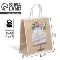 Пакет подарочный крафтовый, упаковка, &laquo;Праздничный торт&raquo;, 22 х 25 х 12 см