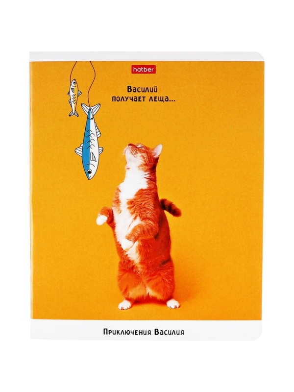 Тетрадь 48л кл на скобе "Приключения Василия", скругл углы, обл мел бум, 45 МИКС