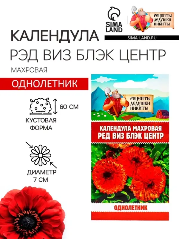 Семена цветов Календула махровая "Ред виз блэк центр", 0,3 г