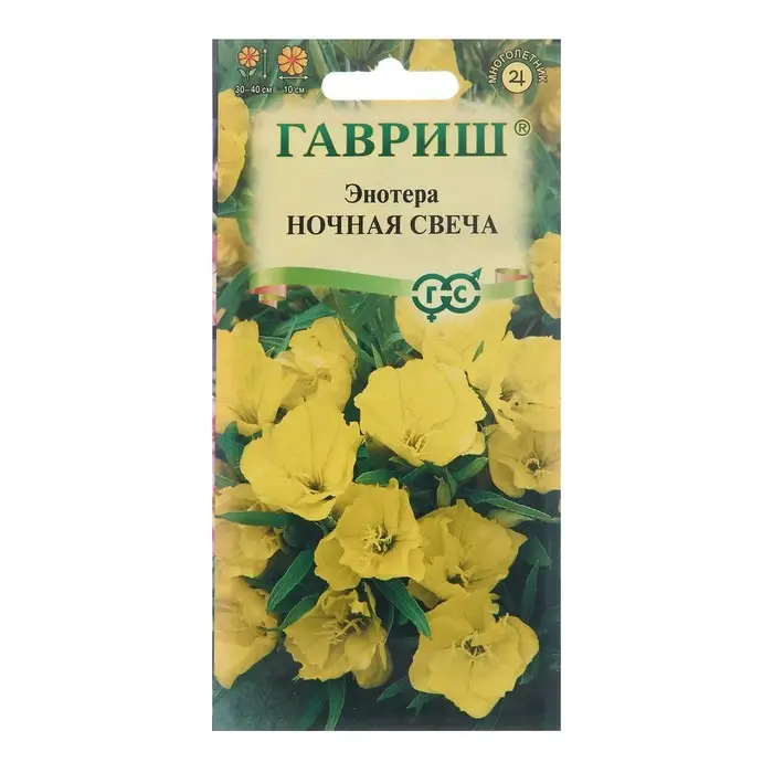 Семена цветов Энотера "Ночная свеча", ц/п,  0,2 г