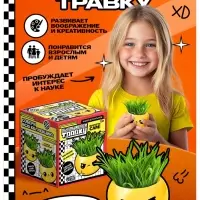 Набор для опытов &laquo;Выращиваем травку&raquo;