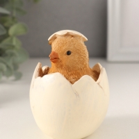 Сувенир полистоун "Цыплёнок в яичной скорлупе" 8х6х8 см