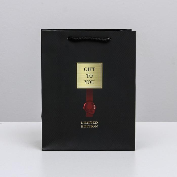 Пакет подарочный ламинированный вертикальный, упаковка, &laquo;Gift to you&raquo;, MS 18 х 23 х 10 см