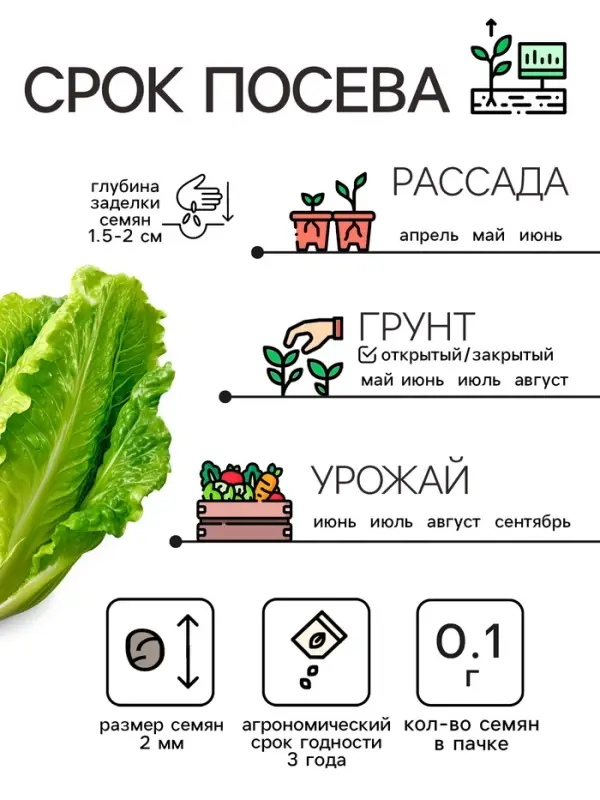 Семена Капуста пекинская "Неженка", 0,1 г