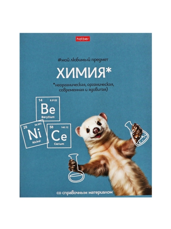 Комплект предметных тетрадей 48 листов, 12 предметов Hatber &laquo;Мой любимый предмет&raquo;, обложка мелованный картон, ламинация Soft-touch, с интерактивным сп...