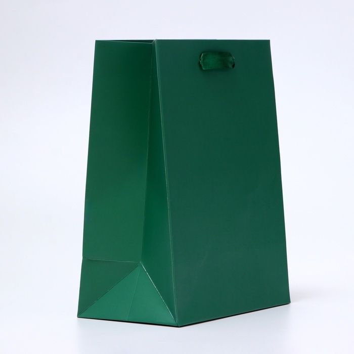 Пакет ламинированный &laquo;Зелёный&raquo;, 18 х 23 х 10 см МИКС